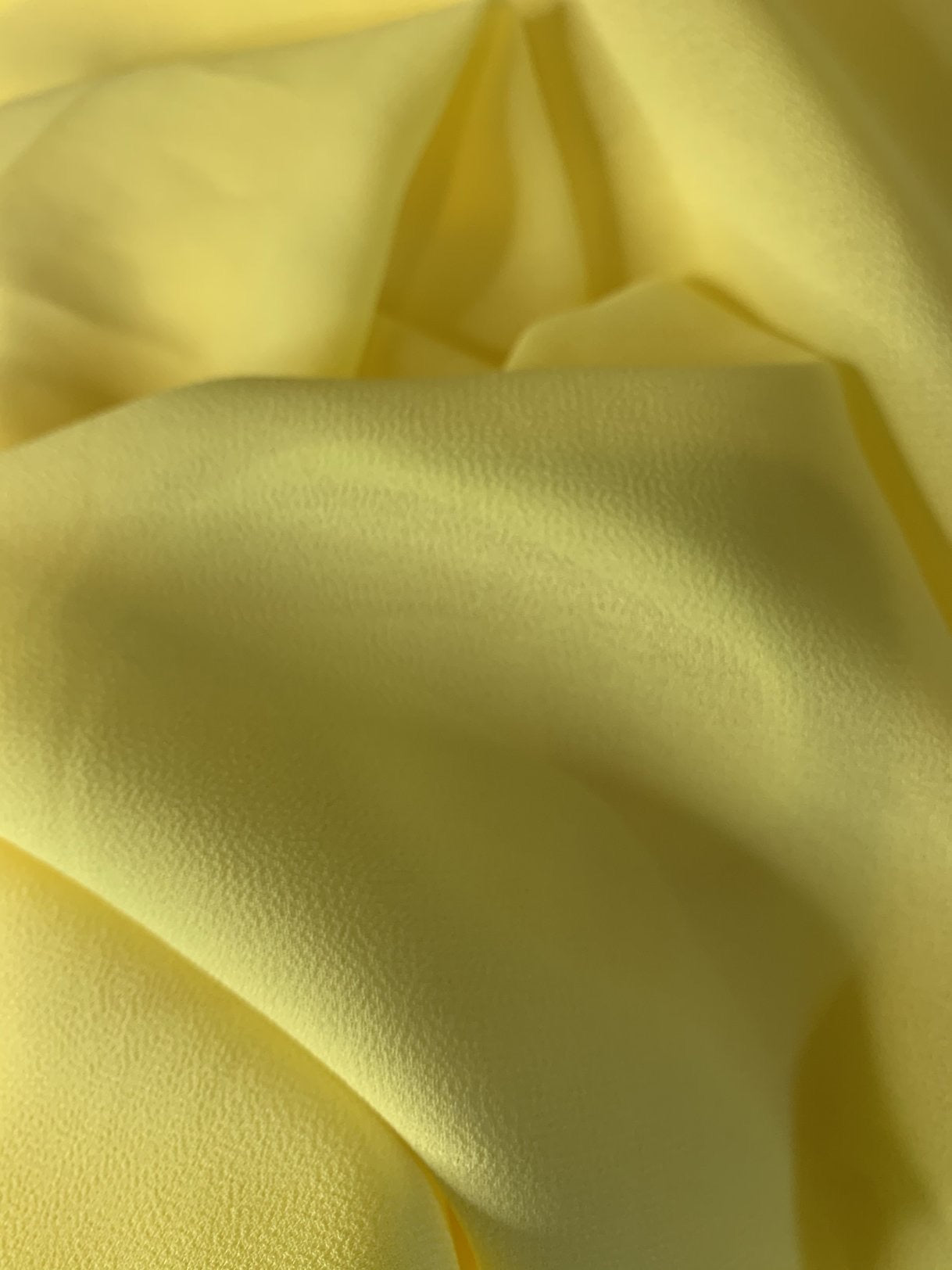 Modesty Yellow